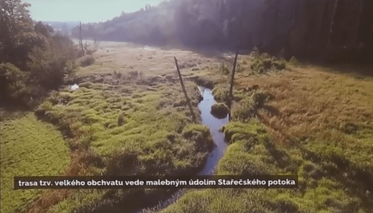 Otakárek fenyklový