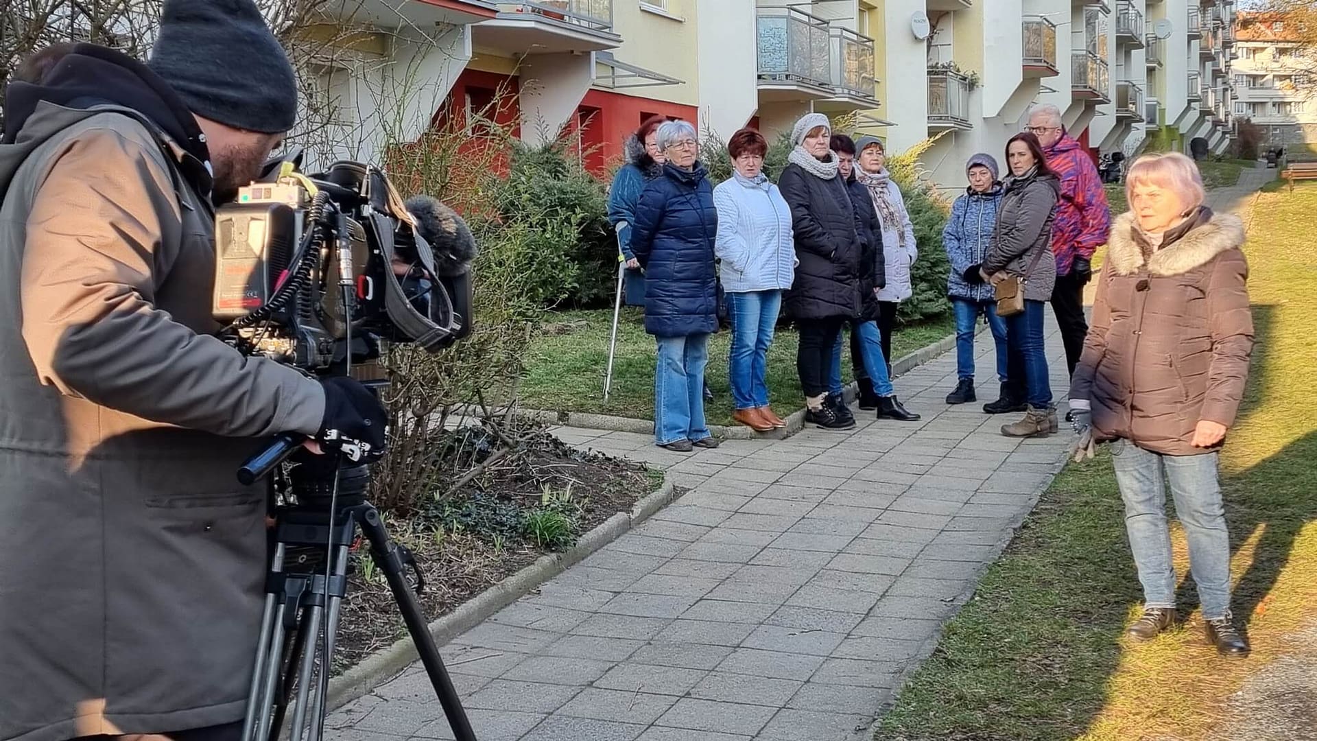 Otakárek fenyklový